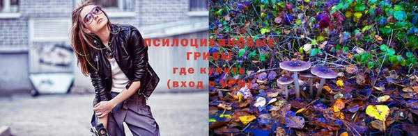 а пвп мука Богородицк