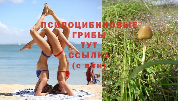 гашишное масло Богданович