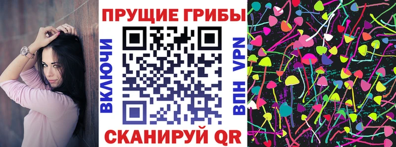 omg ссылка  Котлас  Галлюциногенные грибы Psilocybine cubensis 