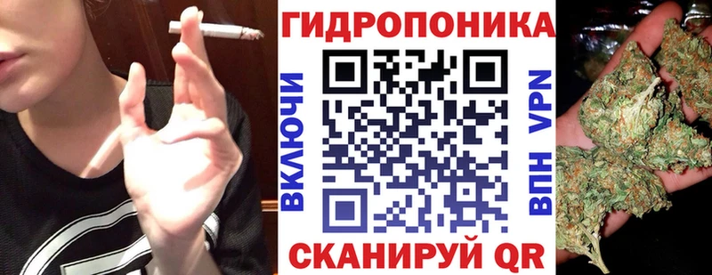 МЕГА ССЫЛКА  Котлас  Бошки Шишки Bruce Banner 